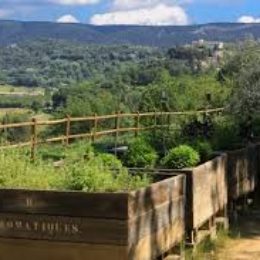 Sentier botanique au coeur du Luberon